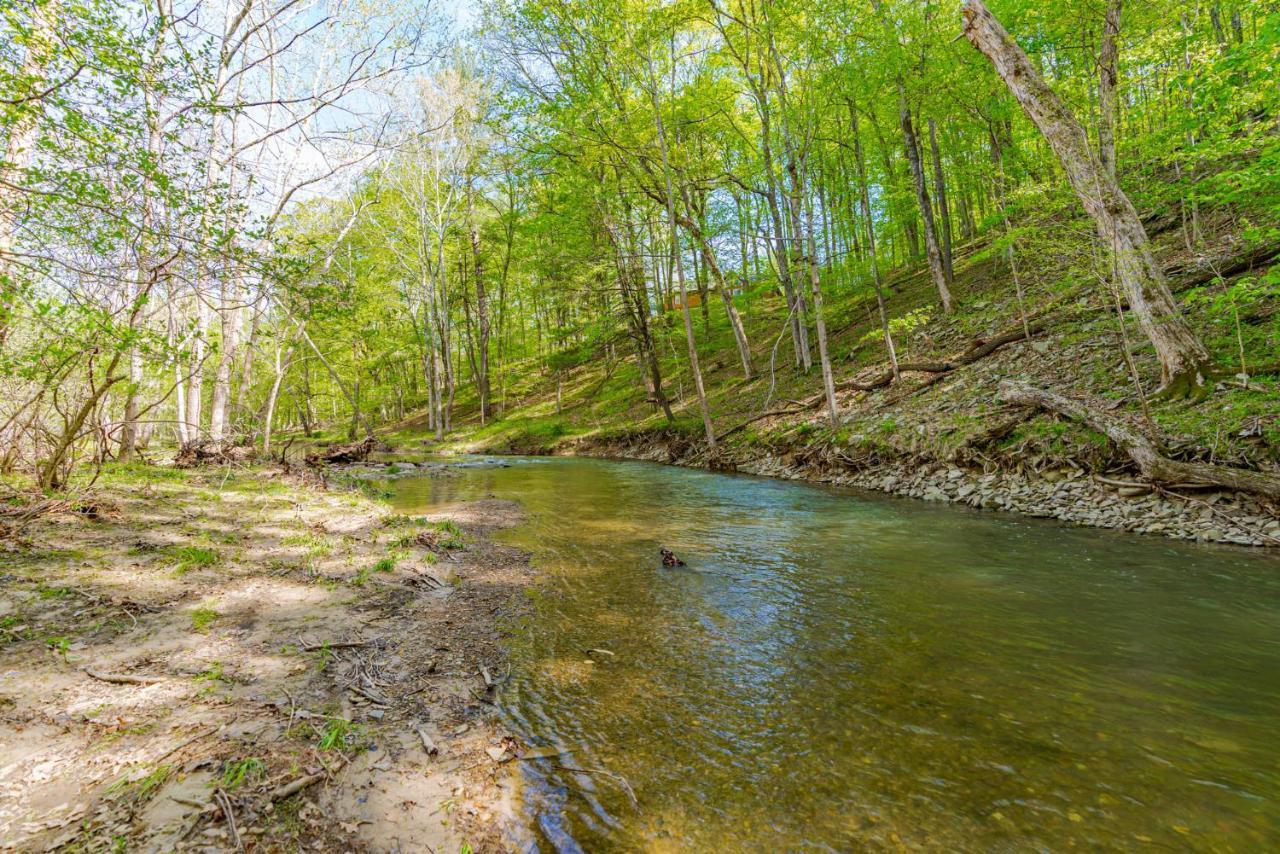 River Access Cabin With Hot Tub, Fire Pit, & Wifi! Morton Grove Екстер'єр фото